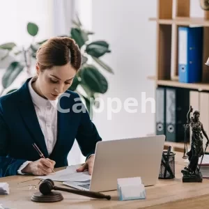 Corporate Lawyers in Canada