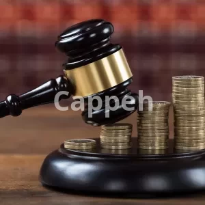 Criminal defense lawyer in canada