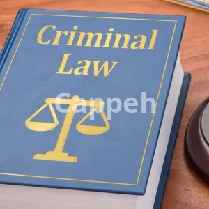 Criminal defense lawyer in canada