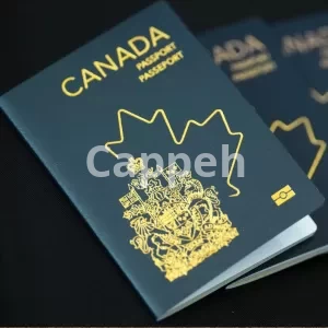 Getting a Canadian passport