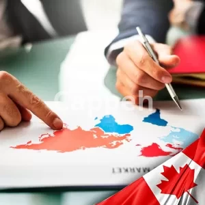 International Litigation Lawyer in canada