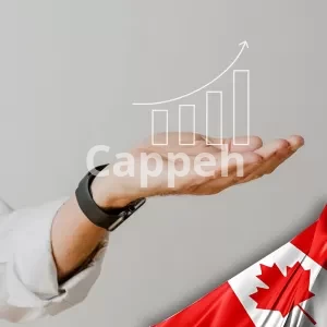 Get a Canadian investment visa