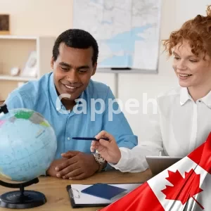 Professional consulting on immigration to Canada