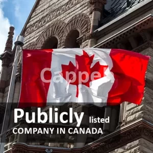 Incorporate & Register a Publicly listed company in canada
