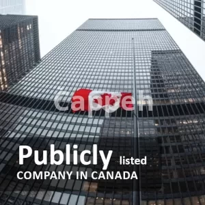 Incorporate & Register a Publicly listed company in canada
