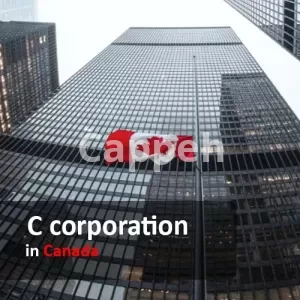 Incorporate & Register a C corporation in canada