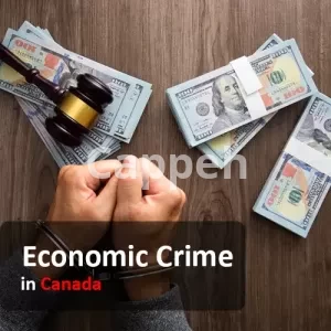 Economic Crime Lawyer in canada