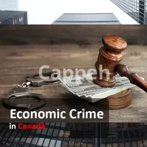 Economic Crime Lawyer in canada