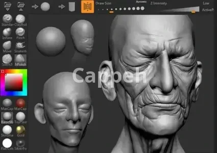 Providing specialized design services using ZBrush software