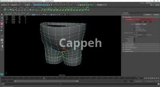 Providing specialized design services using ZBrush software
