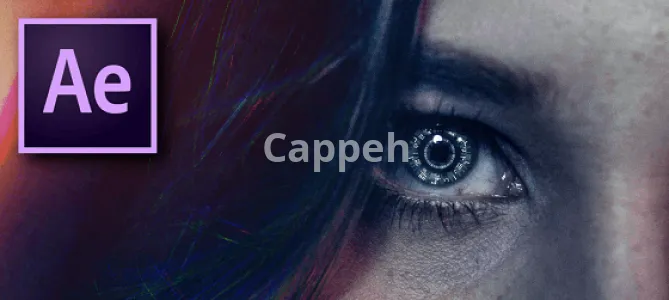 Providing specialized design services using After Effects software