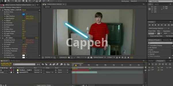 Providing specialized design services using After Effects software