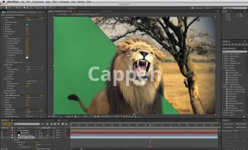 Providing specialized design services using After Effects software