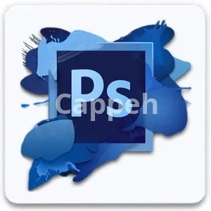 Providing specialized design services using Adobe Photoshop software