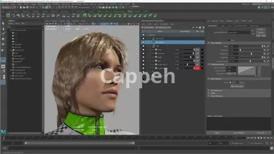 Providing specialized design services using Maya software