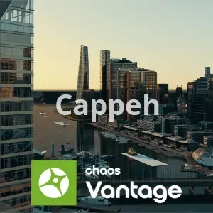 Providing specialized design services using Chaos Vantage software