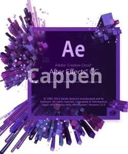 Providing specialized design services using After Effects software