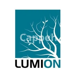 Providing specialized design services using Lumion software