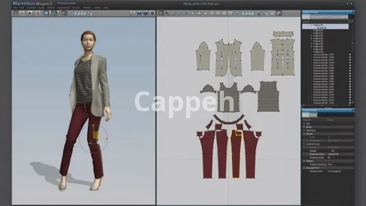 Providing specialized fashion design services using Marvelous clothing design software