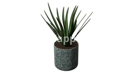 Introducing 3D plant texture modeling and rendering services