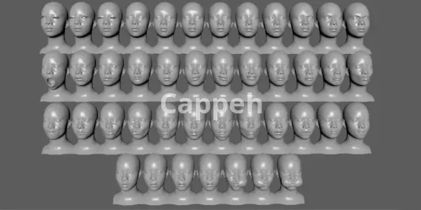 I will make blendshapes for wonder studio characters and iphone arkit