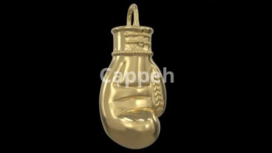 I will do 3d jewelry modelling and animation