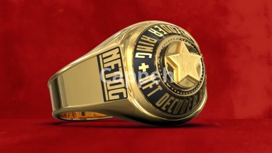 I will do 3d jewelry modelling and animation