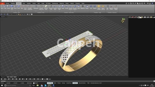 Providing specialized jewelry design services using jewelry design software