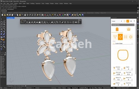 Providing specialized jewelry design services using jewelry design software