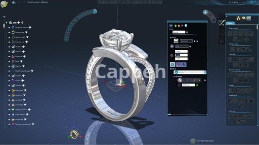 Providing specialized jewelry design services using 3Design jewelry design software