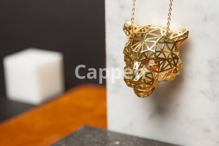 Providing specialized jewelry design services using Sketchup jewelry design software