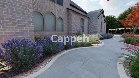 I will design your house, landscape, yard designs in 24 hrs