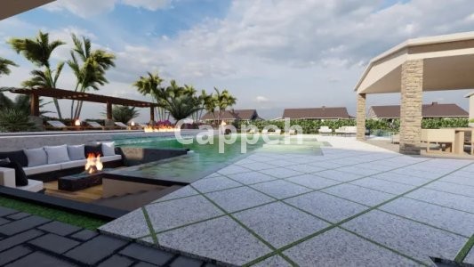 I will design your house, landscape, yard designs in 24 hrs