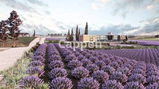 I will model your village home, ecovillage tourism destination, farm house