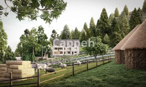 I will design ecologic village with sustainable energy systems and site plan