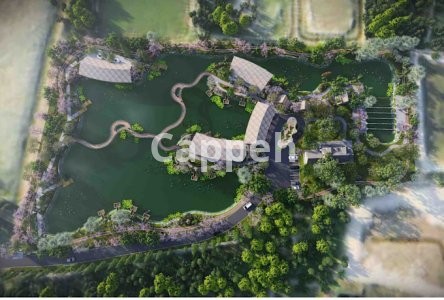 I will sustainable, luxury tropical resort design and planning