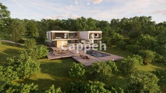 Providing specialized landscape design services using Enscape landscape design software