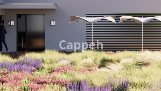 Providing specialized landscape design services using Enscape landscape design software