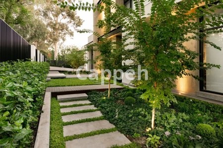 Providing specialized landscape design services using Lumion landscape design software