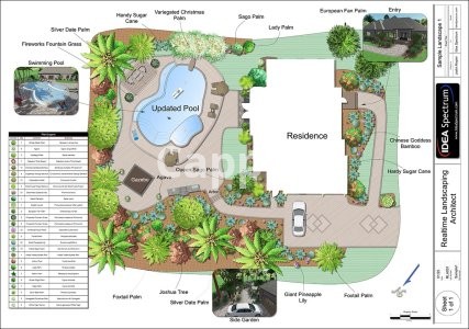 Providing specialized landscape design services using Realtime Landscape Architect landscape design software