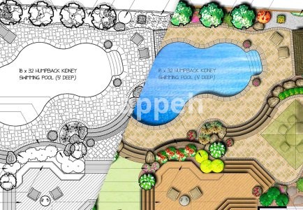 Providing specialized landscape design services using Dynascape landscape design software