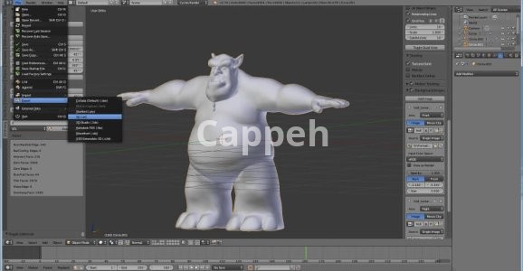 I can design 3D sculptures and 3D printed characters with Blender software