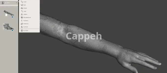 I can design 3D sculptures and 3D printed characters with Meshmixer software