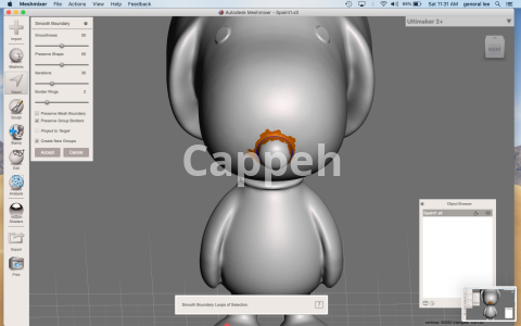 I can design 3D sculptures and 3D printed characters with Meshmixer software