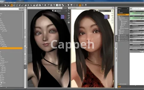 I can design 3D sculptures and 3D printed characters with Daz Studio software