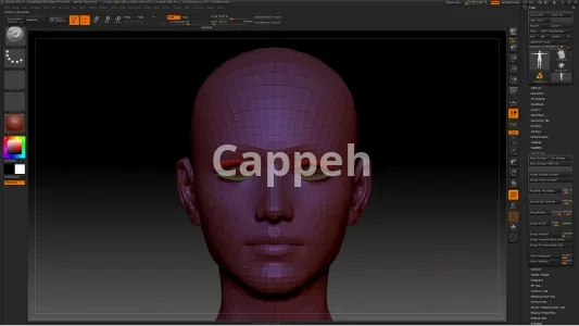 I can design 3D sculptures and 3D printed characters with Daz Studio software