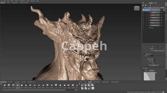 I can design 3D sculptures and 3D printed characters with SculptGL software