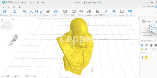 I can design 3D sculptures and 3D printed characters with SelfCAD software