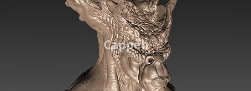 I can design 3D sculptures and 3D printed characters with Modo software