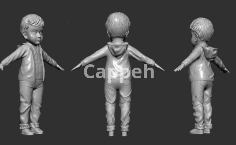 I can design 3D sculptures and 3D printed characters with Maya software